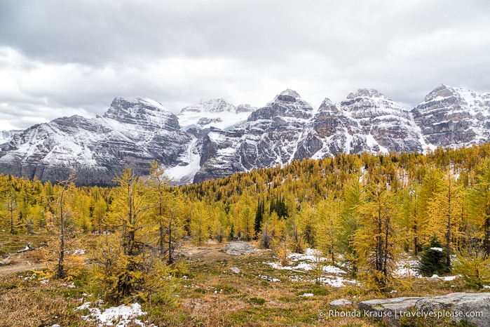 travelyesplease.com | Larch Valley Hike- Lake Louise, Banff National Park