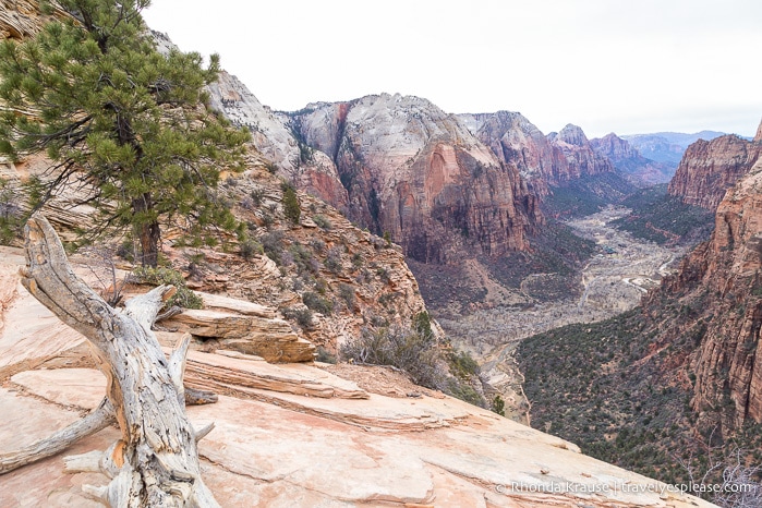 travelyesplease.com | Hiking Angels Landing Trail- What to Expect on Zion National Park's Most Iconic Hike